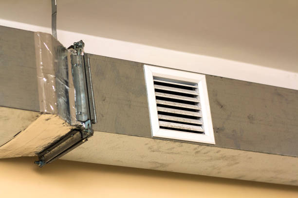 Best Dryer Vent Cleaning Services  in Plafield, IN